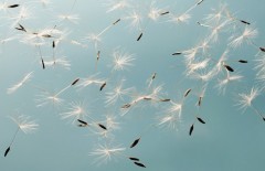 eclecitc-consulting-erklrt-mehr-wert-in-sap-s4-hana-als-es-zuerst-erscheint - Web design surabaya