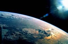 procurement-with-sap-ariba-for-agriculture-business - Web design surabaya