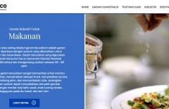 websumatraco- - Web design surabaya
