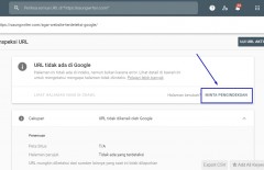 langkah-mudah-agar-website-terdeteksi-google-untuk-pemula - Web design surabaya
