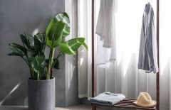 memaksimalkan-ruang-panduan-dekorasi-untuk-rumah-yang-kecil-dan-nyaman - Web design surabaya