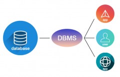 apa-itu-dbms-pengertian - Web design surabaya