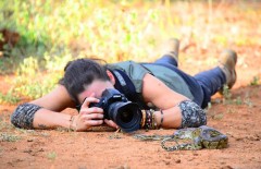 wildlife-photography - Web design surabaya