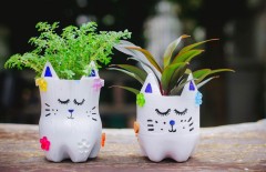 diy-botol-plastik-bekas-untuk-pot-bunga - Web design surabaya