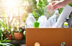 small-steps-to-reduce-single-use-plastic-bottles - Web design surabaya