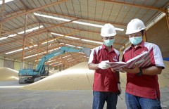 web-design-photographer-at-semarang-for-agriculture-company - Web design surabaya