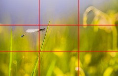 komposisi-rule-of-thirds-dalam-fotografi - Web design surabaya