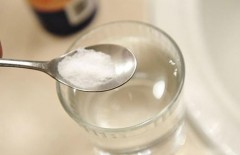 usir-lalat-di-rumahmu-dengan-garam-industri-sumatraco - Web design surabaya