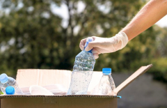 mengubah-botol-plastik-menjadi-hobi-berkebun-yang-menyenangkan-dan-ramah-lingkungan - Web design surabaya