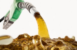 best-diesel-fuel-storage - Web design surabaya