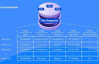 database-adalah-kumpulan-data-yang-dapat-dikelola-dan-diakses-dengan-mudah - Web design surabaya