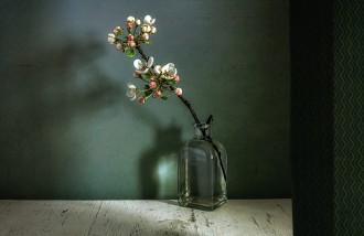 still-life-photography - Web design surabaya