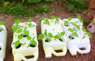 plant-pots-from-plastic-jerry-cans - Web design surabaya