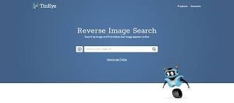 tineye-web - Web design surabaya