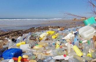 dampak-sampah-botol-plastik - Web design surabaya