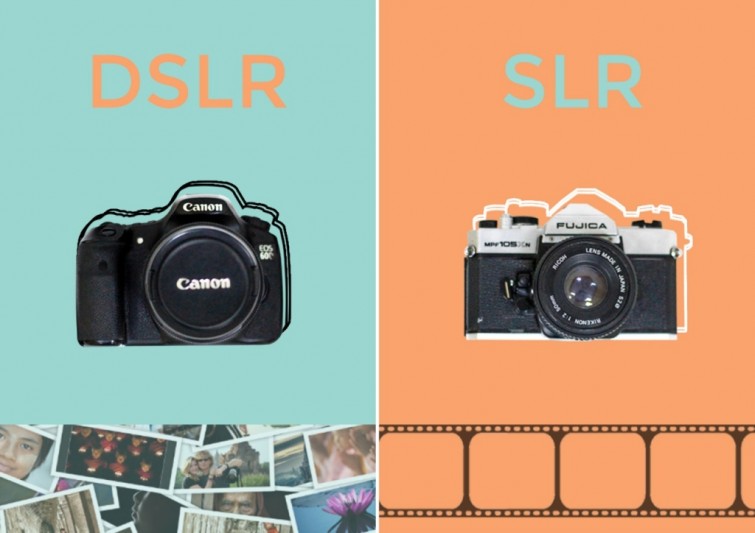 perbedaan-antara-kamera-slr-dan-dslr