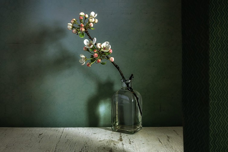 still-life-photography
