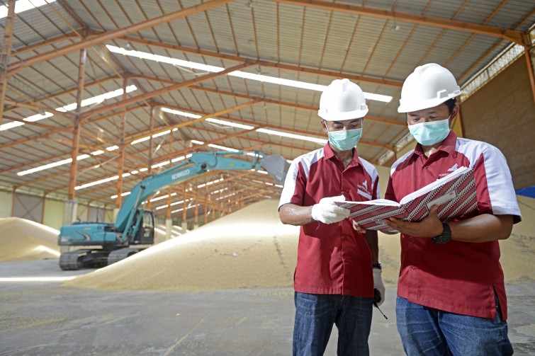 web-design-photographer-at-semarang-for-agriculture-company