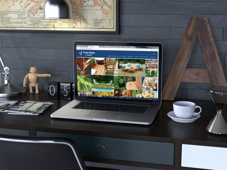 portfolio-mark-design-three-birds-casual-website