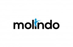 molindo - Web design surabaya