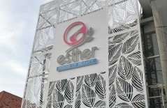 esther-house-of-beauty-acp-laser-cut-wall-cladding - Web design surabaya