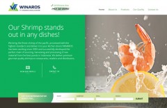winaros-website-design-jakarta-surabaya - Web design surabaya