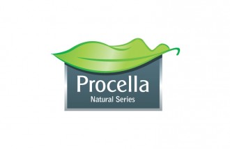 procella - Web design surabaya