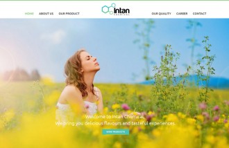 intan-chemical-website-design-surabaya-jakarta - Web design surabaya