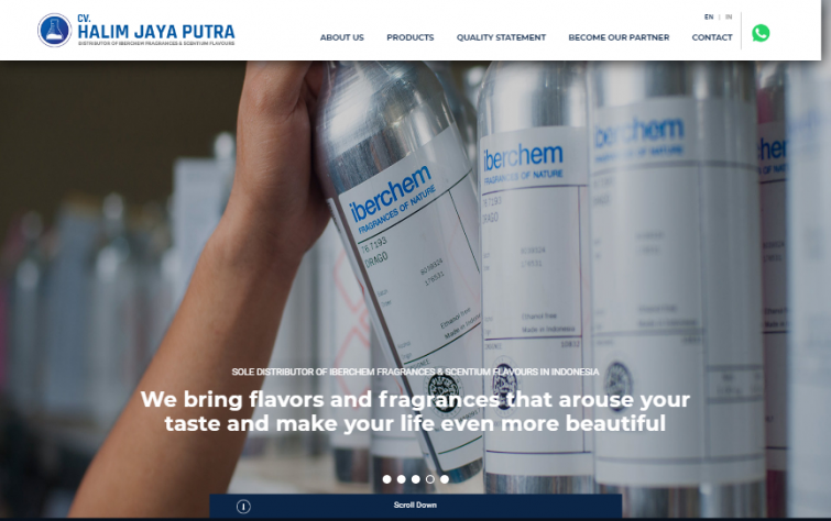 halim-jaya-putra-website-design-surabaya-jakarta