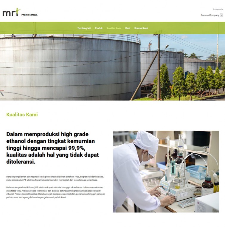 pt-molindo-raya-industrial-website-design-surabaya-jakarta