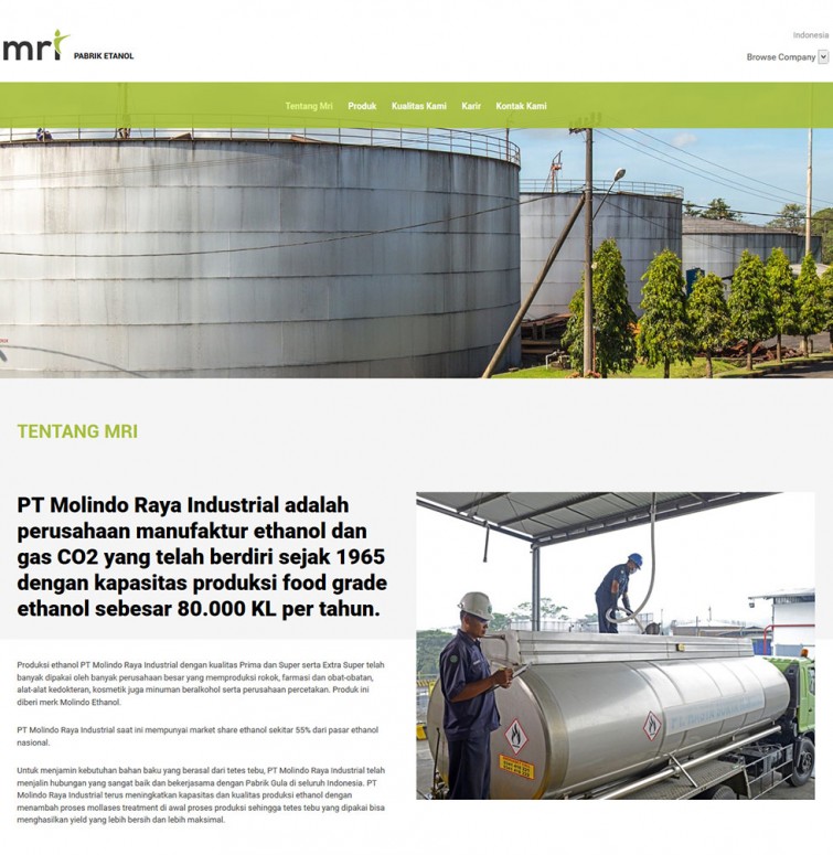 pt-molindo-raya-industrial-website-design-surabaya-jakarta