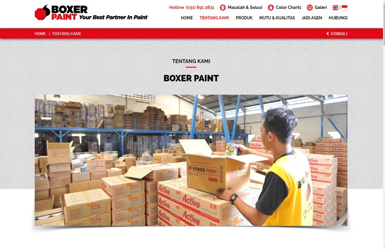 boxer-paint-website-design-jakarta-surabaya