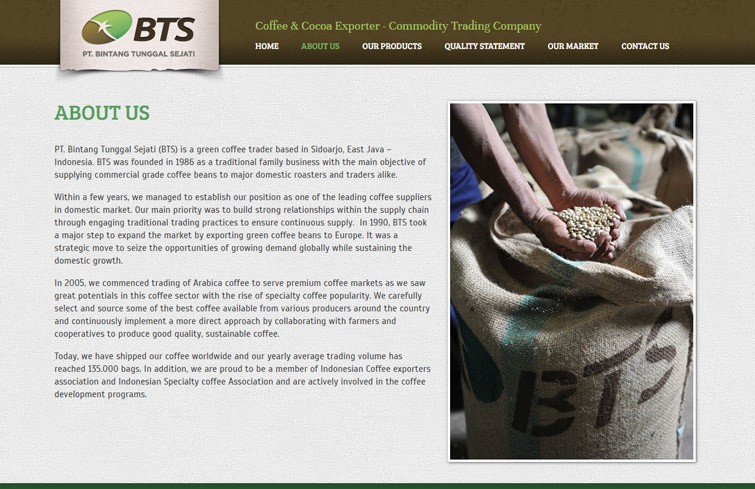 pt-bintang-tunggal-sejati-website-design-jakarta-surabaya