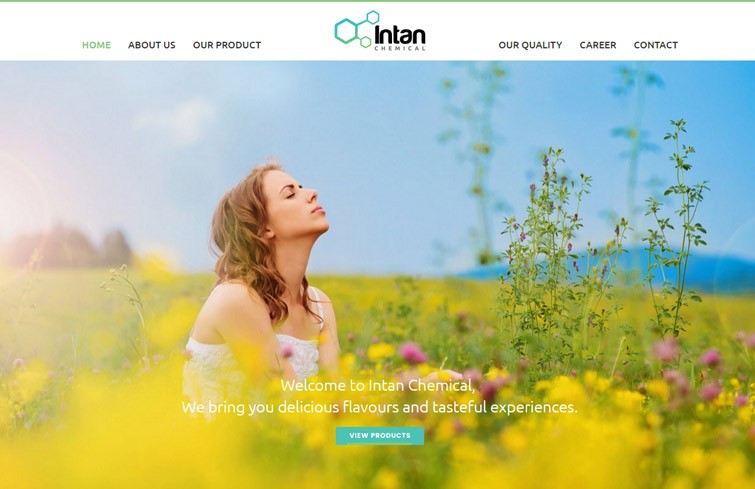 intan-chemical-website-design-surabaya-jakarta