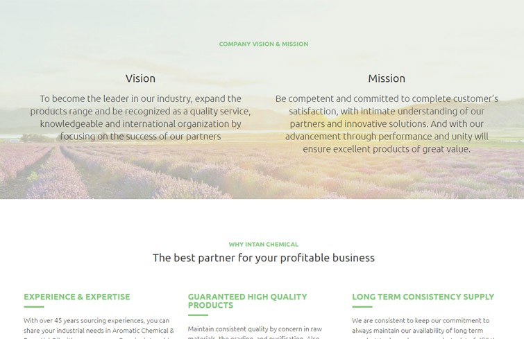 intan-chemical-website-design-surabaya-jakarta
