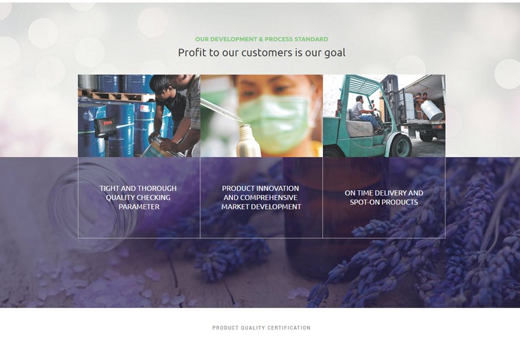 intan-chemical-website-design-surabaya-jakarta