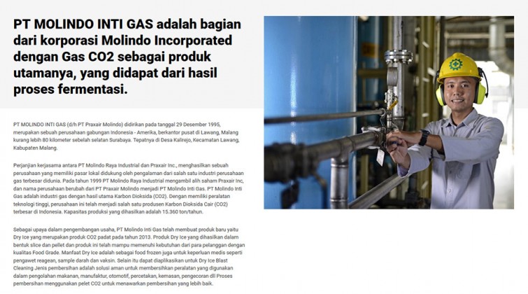 pt-molindo-inti-gas-website-design-surabaya-jakarta