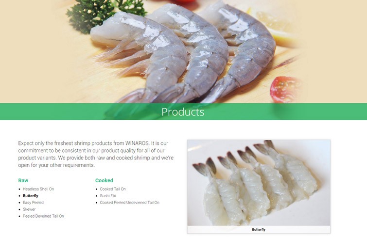 winaros-website-design-jakarta-surabaya